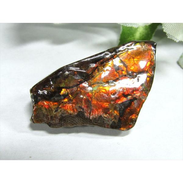 4A アンモライト 原石 最大幅30.5mm 重さ3.7g 1点物 生物起源の宝石 幸運を呼び込む石...