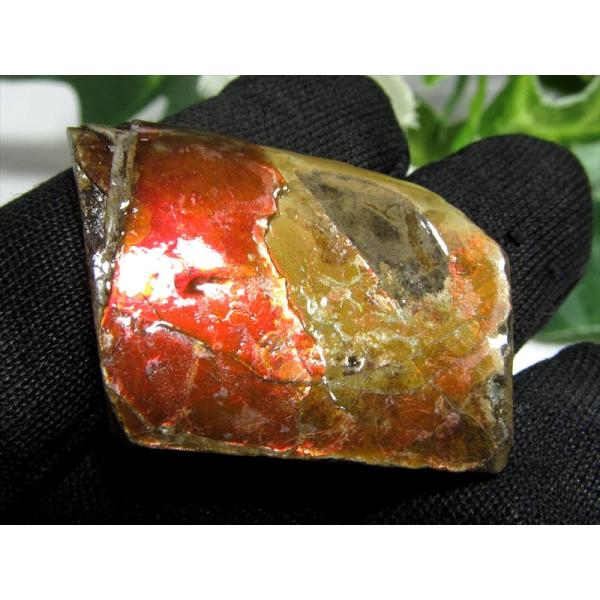 4A アンモライト 原石 最大幅27mm 重さ3.3g 1点物 生物起源の宝石 幸運を呼び込む石 極...