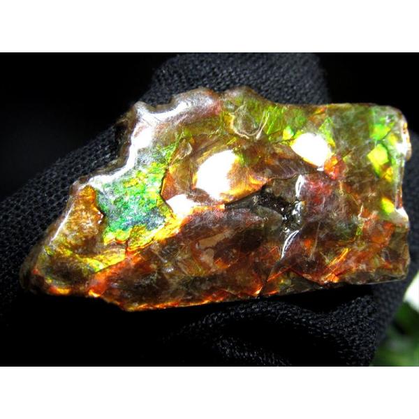 4A アンモライト 原石 最大幅30mm 重さ2.0g 1点物 生物起源の宝石 幸運を呼び込む石 極...