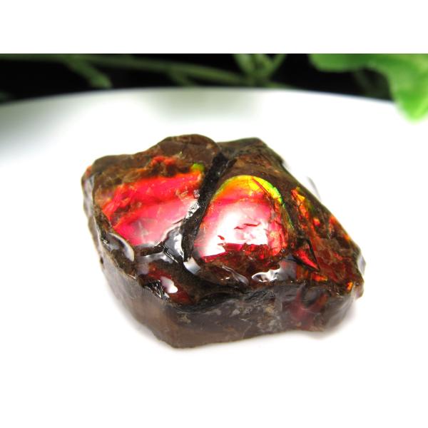 高発色 アンモライト ドラゴンスキン 竜の鱗 原石 最大幅28mm 重さ13g 1点物 生物起源の宝...