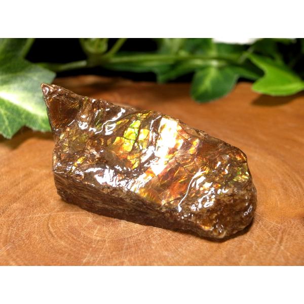 発色良好 アンモライト ドラゴンスキン 竜の鱗 原石 最大幅約39mm 重さ約10.7g 1点物 パ...