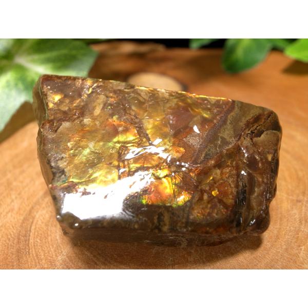 発色良好 アンモライト ドラゴンスキン 竜の鱗 原石 最大幅約42mm 重さ約18.6g 1点物 パ...