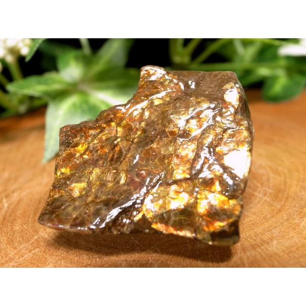 発色良好 アンモライト ドラゴンスキン 竜の鱗 原石 最大幅約29mm 重さ約9.2g 1点物 パワ...