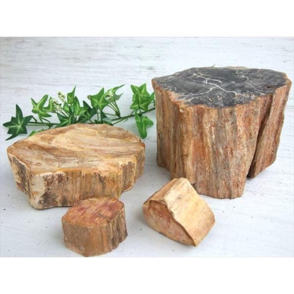 一面磨き 珪化木 ペトリファイドウッド 原石 重さ100g-150g 1個売り 神秘なる大自然の力 ...