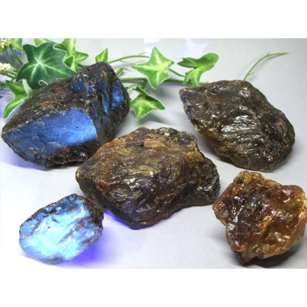 1個売り ブルーアンバー 原石 重さ約80g-95g 琥珀 樹木由来の生命力 ブラックライトで変色 ...
