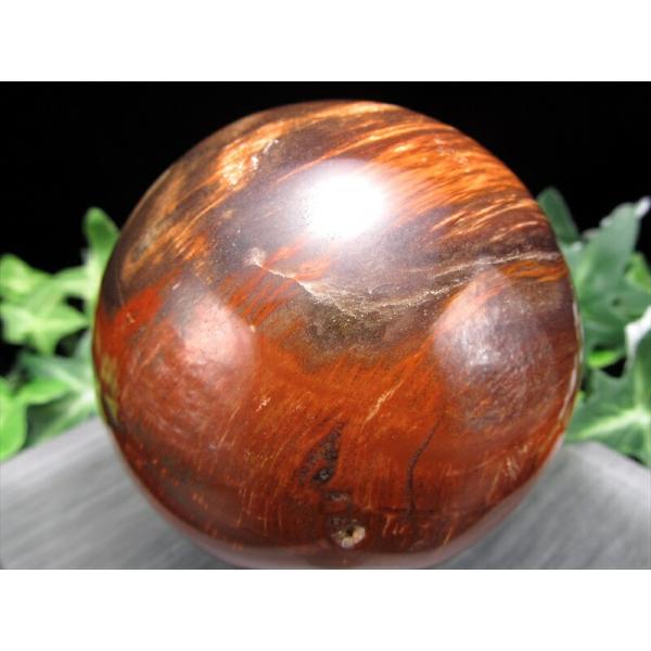 自然の神秘 珪化木 ペトリファイドウッド 丸玉 台座付 重さ599g 直径76mm 木の化石 自然を...