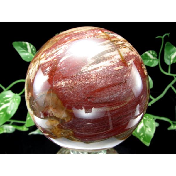 迫力の大玉 珪化木 ペトリファイドウッド 丸玉 台座付 重さ1919g 直径113mm 木の化石 自...