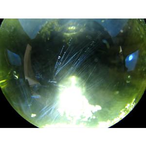 ラダー 5A 超透明 天翔ける シトリン 丸玉 台座付 直径41mm 重さ95g 金運 財運 幸運 お守りにも 一点もの ブラジル産 パワーストーン 天然石