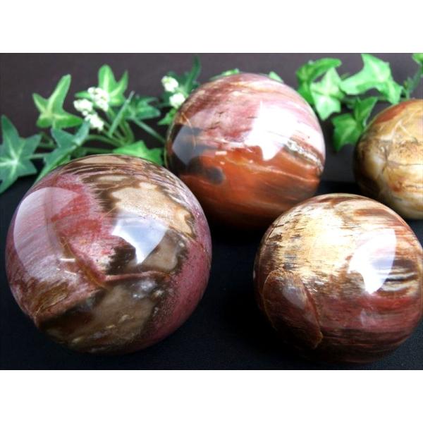 芸術的なマーブル模様 珪化木 丸玉 1個売り 直径約60mm-62mm ペトリファイドウッド 木の化...