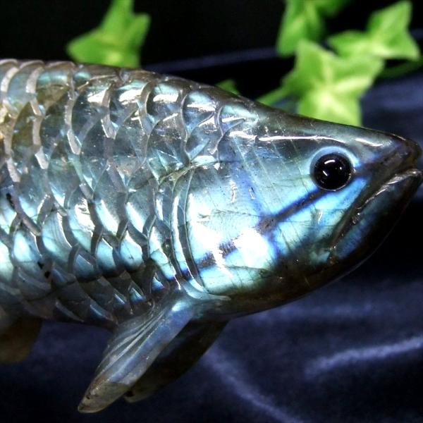 美しいブルーシラー アロワナ ラブラドライト 置物 台座付 幅約148mm 重さ約293g 龍魚と呼...