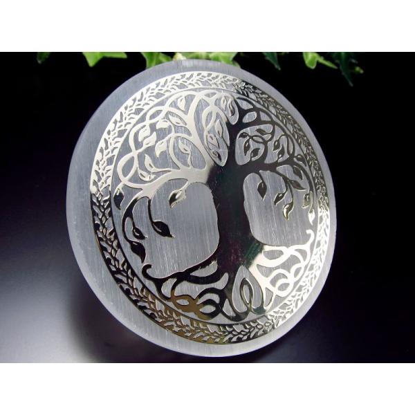 1個売り 美品キャッツアイ セレナイト (ジプサム 透石膏) ツリー・オブ・ライフ サークル型プレー...