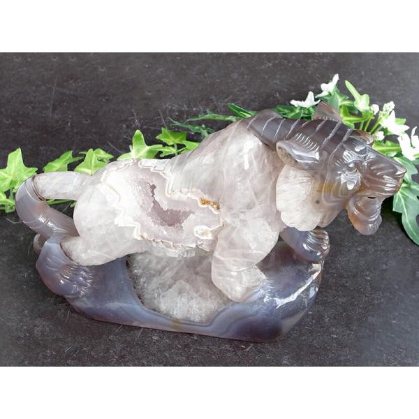 店頭展示中 笑口瑪瑙に宿る森の王者の眼光 笑口瑪瑙 トラ 彫刻置物 重さ1144g 幅193mm メ...