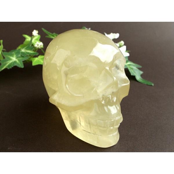 クールなスカルヘッド シトリン スカル 彫刻 置物 最大幅約89mm 重さ約517g 生命の再生を象...