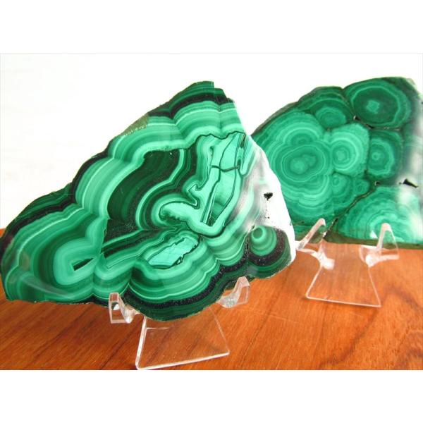 模様くっきり マラカイト プレート原石 1個売り 重さ約55g-75g 美麗繊細模様 深みのあるグリ...