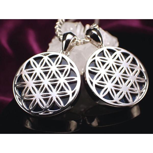 激安宣言 ギベオン 隕石 フラワー・オブ・ライフ ペンダントトップ 直径約19.5mm 1個売り S...