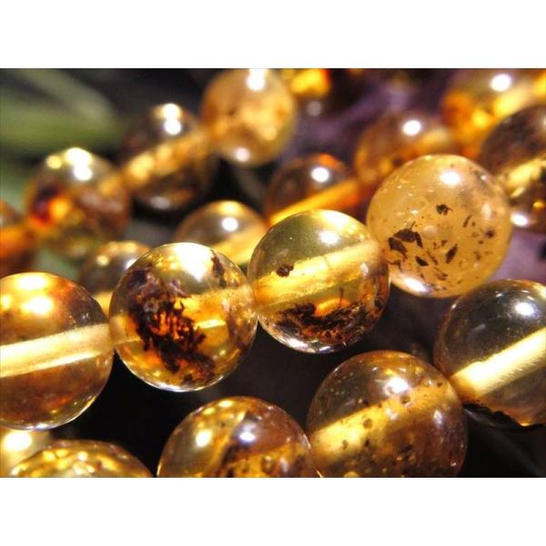 約6mm前後珠 インクルージョンハニーレモンアンバー(天然琥珀)一連 約37-39cm 古来より愛さ...