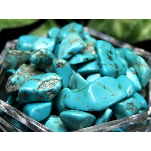 鮮やかなマトリックス模様 ハウライトターコイズ さざれ 200g 染色ターコイズ サザレ サイズ 平...