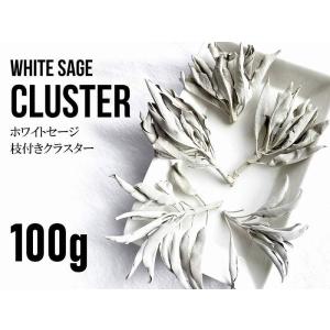 たっぷりお徳用パック 100g入り ホワイトセージ 枝付きクラスター スマッジング・薫香用ドライハーブ カリフォルニア産 パワーストーン 天然石