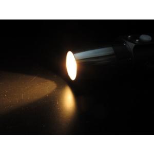 選べる2色のボディ LED ブラックライト 長...の詳細画像5