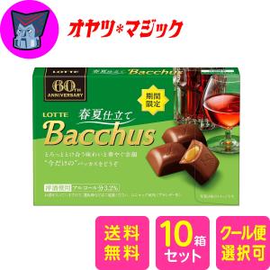 送料無料】ロッテ トッポ 2袋入り× 120コ 入 まとめ買い ケース販売 箱