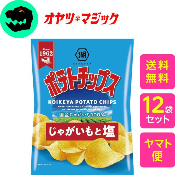 【送料無料】湖池屋 ポテトチップスじゃがいもと塩  55g×12袋