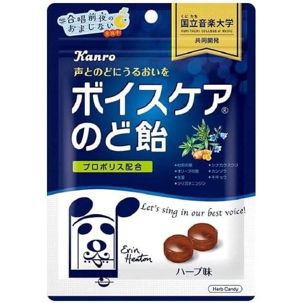 【送料無料　ネコポス配送】カンロ ボイスケア のど飴 90g×6個