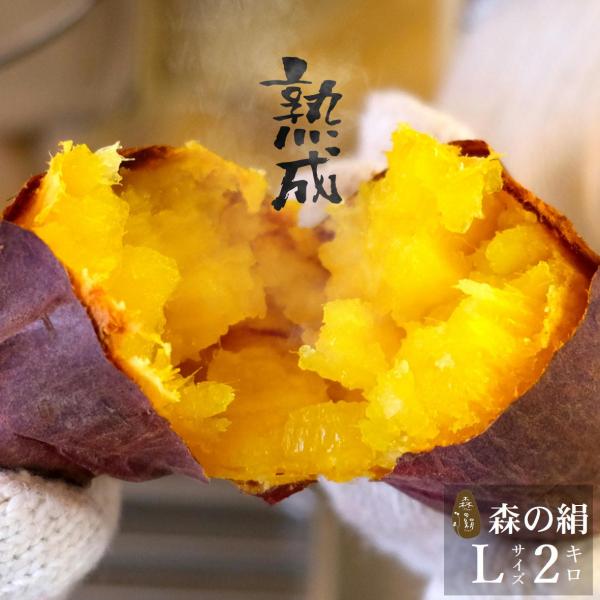 ヒルナンデスで紹介♪ さつまいも 森の絹 生芋 Lサイズ 2kg 紅はるか 甘すぎて研究対象になった...