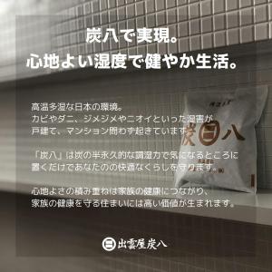 炭八 3Lサイズ10個 + スマート小袋4個 ...の詳細画像5