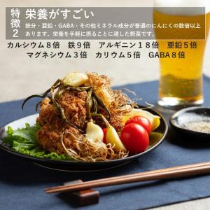 スプラウトニンニク 国産 ホワイト6片 170...の詳細画像4