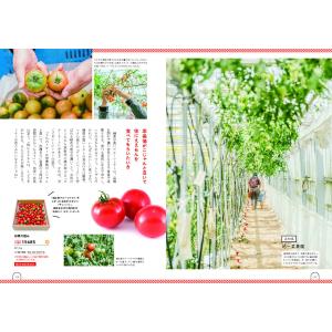 カタログギフト グルメ 送料無料 umashi...の詳細画像4