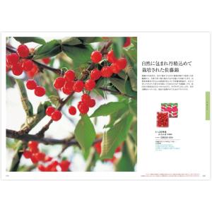 美味百撰 グルメカタログギフト 紅花(べにばな...の詳細画像2