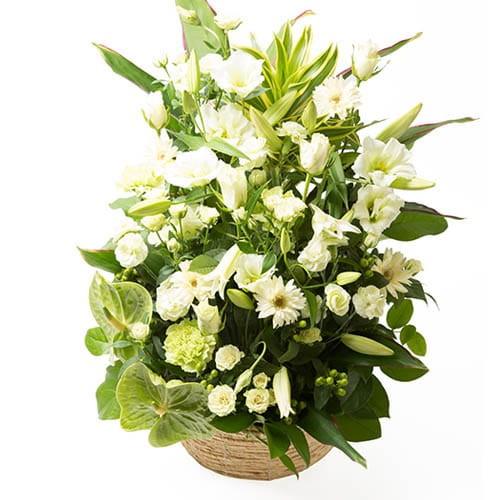 モンソーアレンジ TG(トレグラン) 【ライム系】 お花 フラワーギフト プレゼント おしゃれ 御歳...