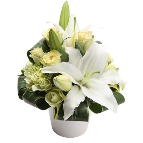 モンソーアレンジ G グラン ライム ご入金後1 3日で発送 出荷 土日祝日も対応 代引き不可 お返...