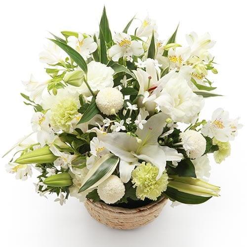 モンソーアレンジ ドゥスール ご入金後1 3日で発送 出荷 土日祝日も対応 代引き不可 お返し ギフ...