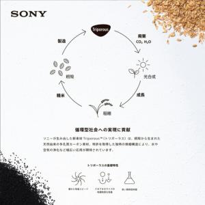 今治謹製 Triporous トリポーラス 消...の詳細画像5