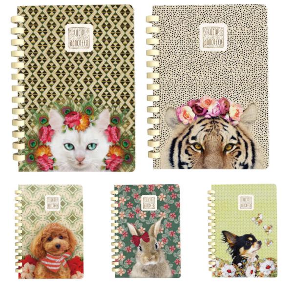 リングノート リュシーダンセット B6 ノートブック 日本製 メモ帳 日記帳 ダイアリー SDGｓ ...