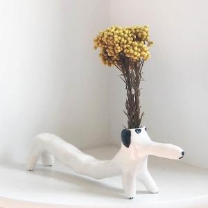 エレオノール・ボストロム アクセサリートレイ 犬 しましま ぐるぐる