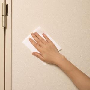 山崎産業 BARIAN 消臭清掃ウェットシート...の詳細画像4