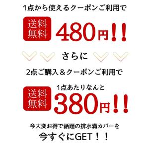 ゴミ受け ステンレス 排水口 髪の毛 お風呂 ...の詳細画像2