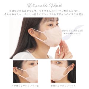 10枚 20枚セット 3Dマスク 立体マスク ...の詳細画像2