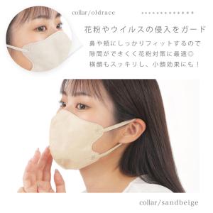 10枚 20枚セット 3Dマスク 立体マスク ...の詳細画像5