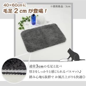 予約販売 爆買 バスマット 40*60 50*...の詳細画像3