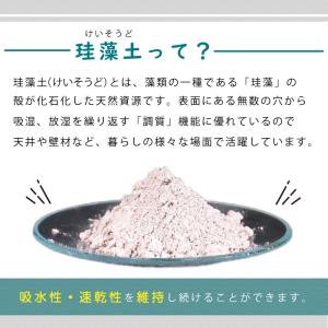 珪藻土バスマット 【40×60cm】珪藻土マッ...の詳細画像3