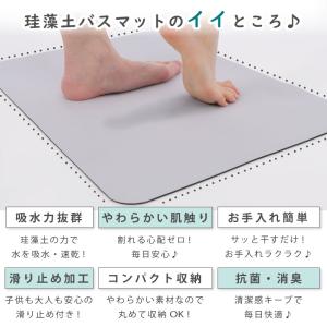 珪藻土バスマット 【40×60cm】珪藻土マッ...の詳細画像5