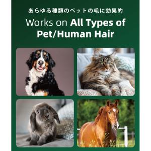 爆買洗濯槽クリーナー ペットヘア溶解剤 ドラム...の詳細画像4