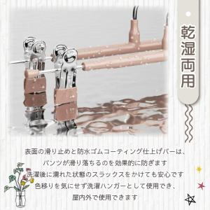 ハンガー クリップハンガー ハンガ 10本 2...の詳細画像3