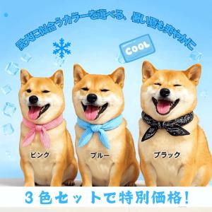 【JPPMA認証】クールバンダナ クールネック...の詳細画像1