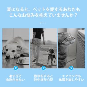 【JPPMA認証】クールバンダナ クールネック...の詳細画像2
