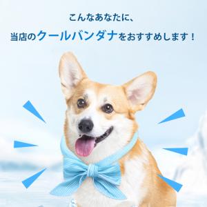 【JPPMA認証】クールバンダナ クールネック...の詳細画像3
