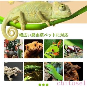 爬虫類 ケージ 飼育ケース 爬虫類ケージ トカ...の詳細画像4